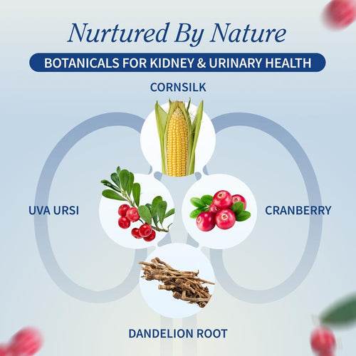 Advanced Kidney Health Support™